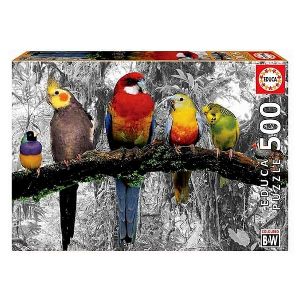 Puzzle Birds in the jungle - Coloured B&W